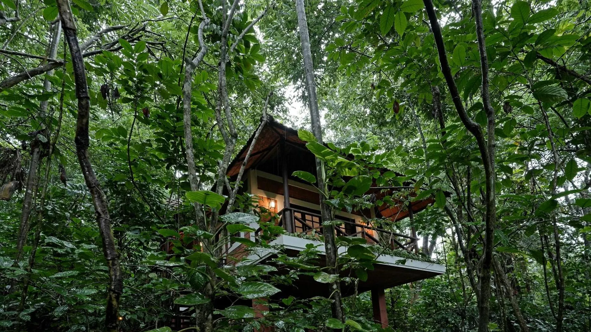 Coffee Acres Resort Kalpatta 3*,